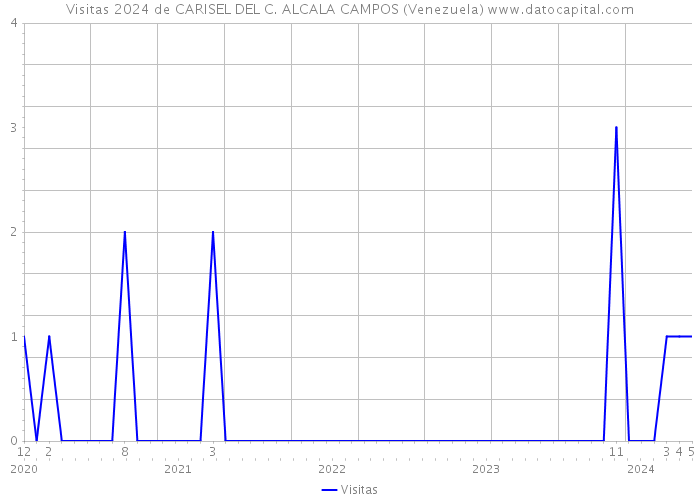 Visitas 2024 de CARISEL DEL C. ALCALA CAMPOS (Venezuela) 