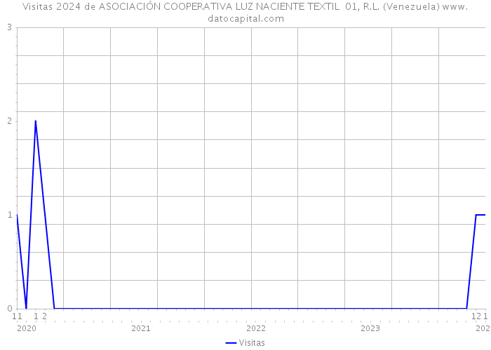 Visitas 2024 de ASOCIACIÓN COOPERATIVA LUZ NACIENTE TEXTIL 01, R.L. (Venezuela) 