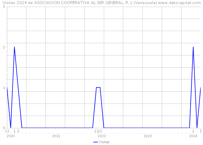 Visitas 2024 de ASOCIACION COOPERATIVA AL SER GENERAL, R. L (Venezuela) 