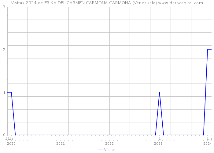 Visitas 2024 de ERIKA DEL CARMEN CARMONA CARMONA (Venezuela) 