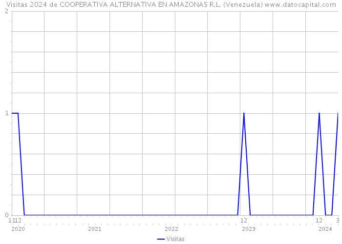 Visitas 2024 de COOPERATIVA ALTERNATIVA EN AMAZONAS R.L. (Venezuela) 