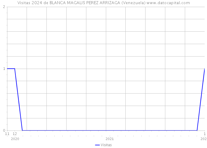 Visitas 2024 de BLANCA MAGALIS PEREZ ARRIZAGA (Venezuela) 