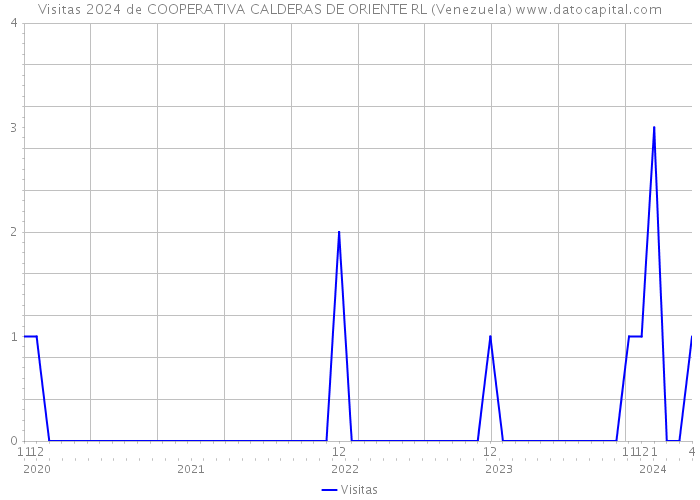 Visitas 2024 de COOPERATIVA CALDERAS DE ORIENTE RL (Venezuela) 