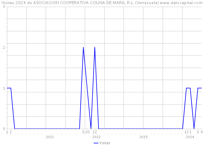 Visitas 2024 de ASOCIACION COOPERATIVA COLINA DE MARA, R.L. (Venezuela) 