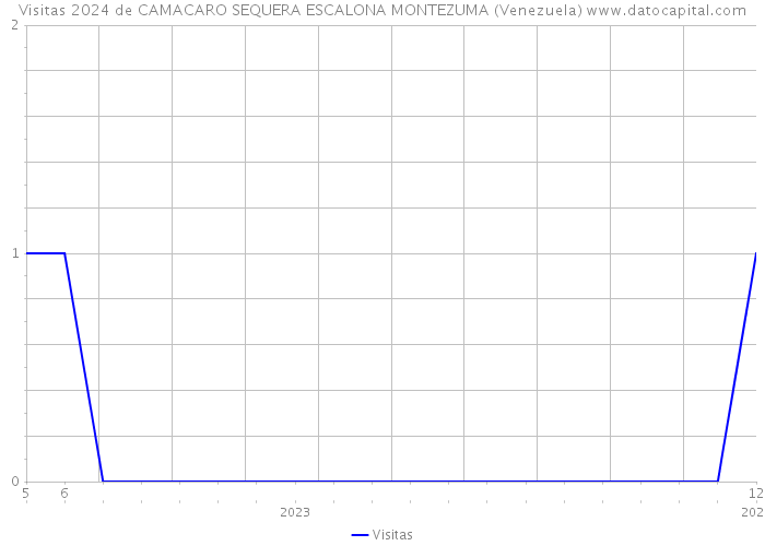 Visitas 2024 de CAMACARO SEQUERA ESCALONA MONTEZUMA (Venezuela) 