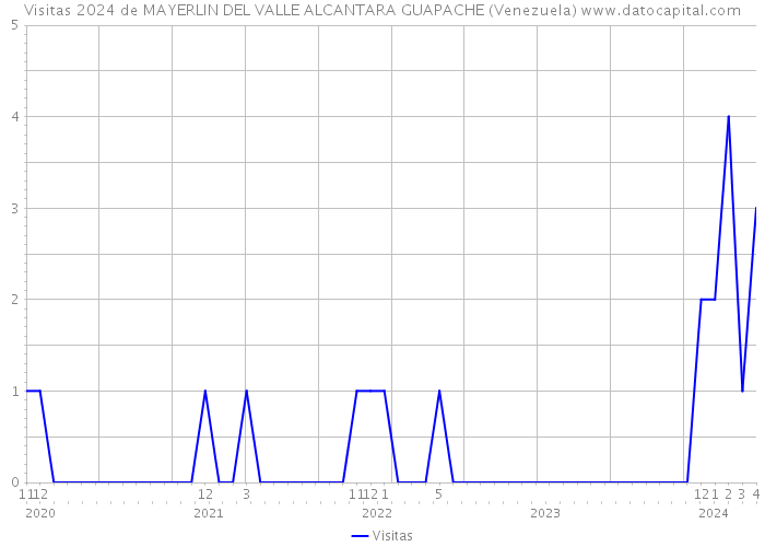 Visitas 2024 de MAYERLIN DEL VALLE ALCANTARA GUAPACHE (Venezuela) 