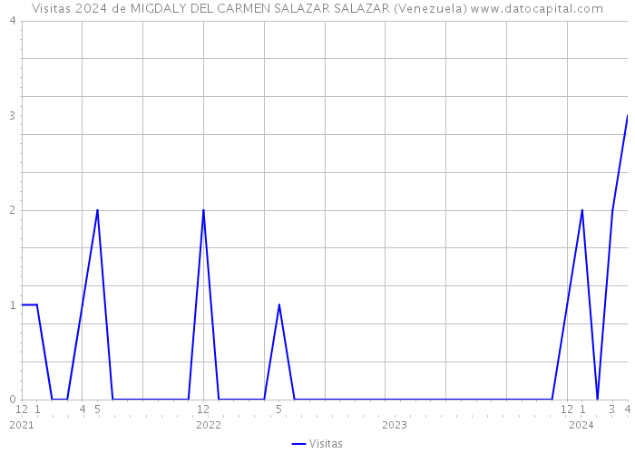 Visitas 2024 de MIGDALY DEL CARMEN SALAZAR SALAZAR (Venezuela) 