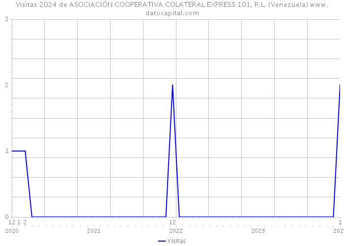 Visitas 2024 de ASOCIACIÓN COOPERATIVA COLATERAL EXPRESS 101, R.L. (Venezuela) 