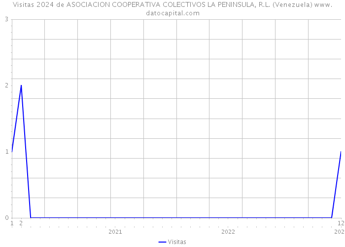 Visitas 2024 de ASOCIACION COOPERATIVA COLECTIVOS LA PENINSULA, R.L. (Venezuela) 