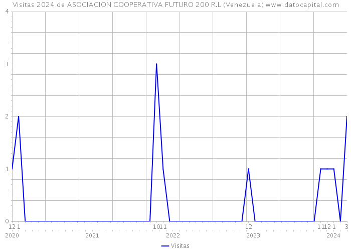 Visitas 2024 de ASOCIACION COOPERATIVA FUTURO 200 R.L (Venezuela) 