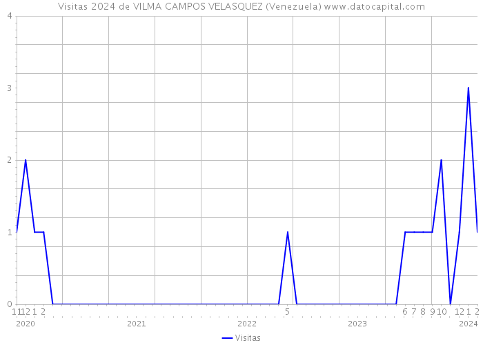 Visitas 2024 de VILMA CAMPOS VELASQUEZ (Venezuela) 