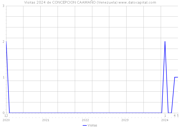 Visitas 2024 de CONCEPCION CAAMAÑO (Venezuela) 