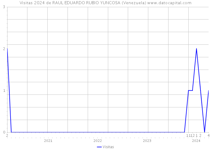 Visitas 2024 de RAUL EDUARDO RUBIO YUNCOSA (Venezuela) 