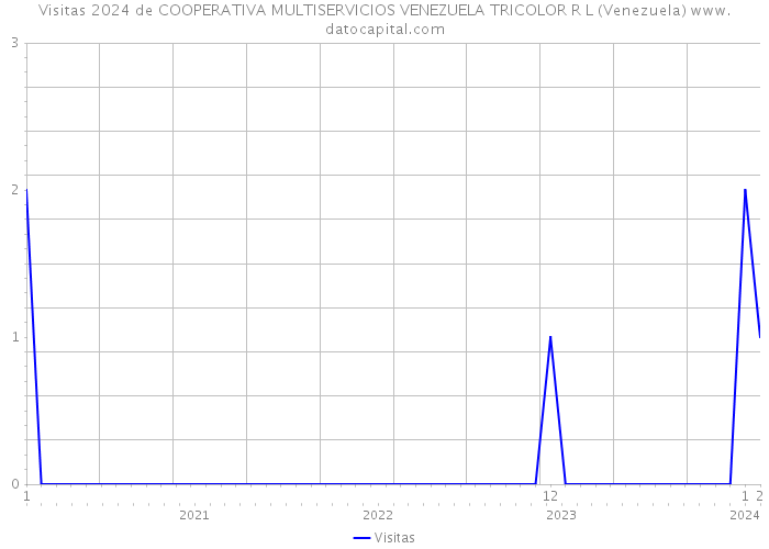 Visitas 2024 de COOPERATIVA MULTISERVICIOS VENEZUELA TRICOLOR R L (Venezuela) 