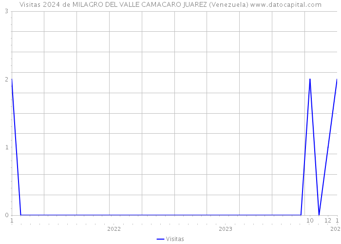 Visitas 2024 de MILAGRO DEL VALLE CAMACARO JUAREZ (Venezuela) 