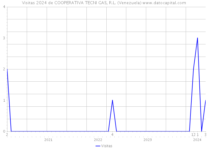 Visitas 2024 de COOPERATIVA TECNI GAS, R.L. (Venezuela) 