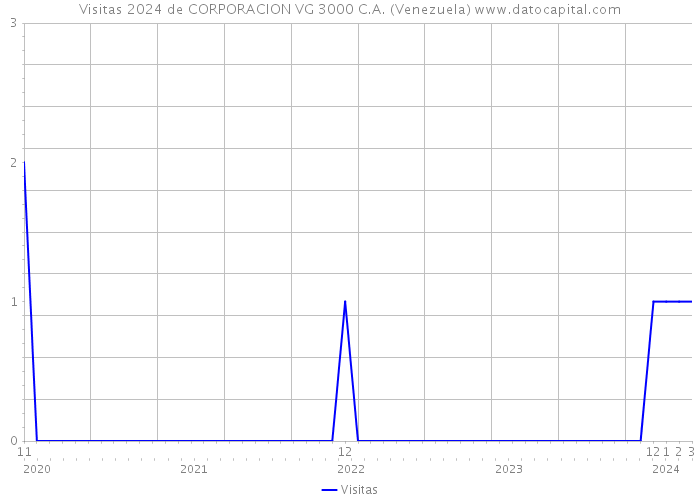 Visitas 2024 de CORPORACION VG 3000 C.A. (Venezuela) 