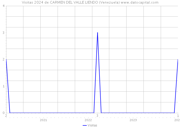 Visitas 2024 de CARMEN DEL VALLE LIENDO (Venezuela) 