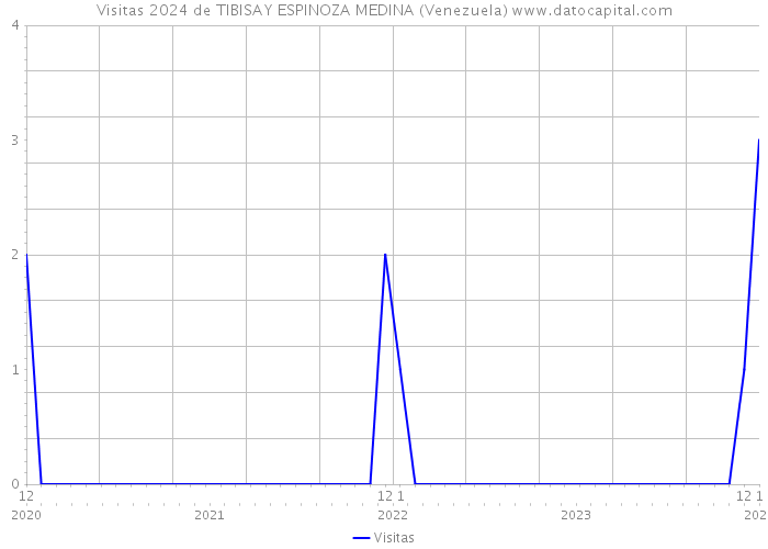 Visitas 2024 de TIBISAY ESPINOZA MEDINA (Venezuela) 