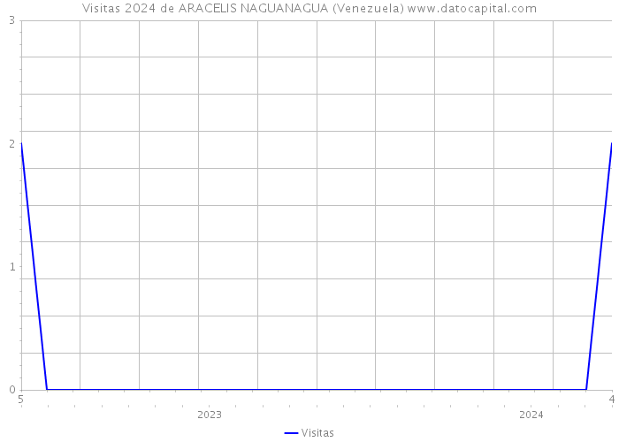 Visitas 2024 de ARACELIS NAGUANAGUA (Venezuela) 