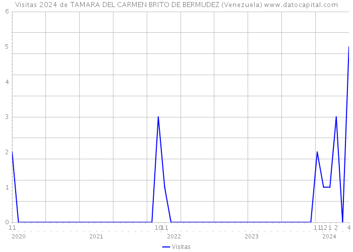 Visitas 2024 de TAMARA DEL CARMEN BRITO DE BERMUDEZ (Venezuela) 