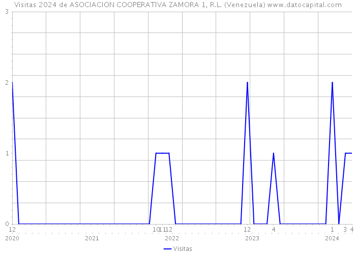 Visitas 2024 de ASOCIACION COOPERATIVA ZAMORA 1, R.L. (Venezuela) 