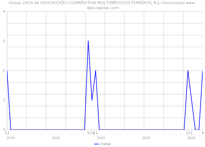 Visitas 2024 de ASOCIACIÓN COOPERATIVA MULTISERVICIOS FUMIDIOS, R.L (Venezuela) 