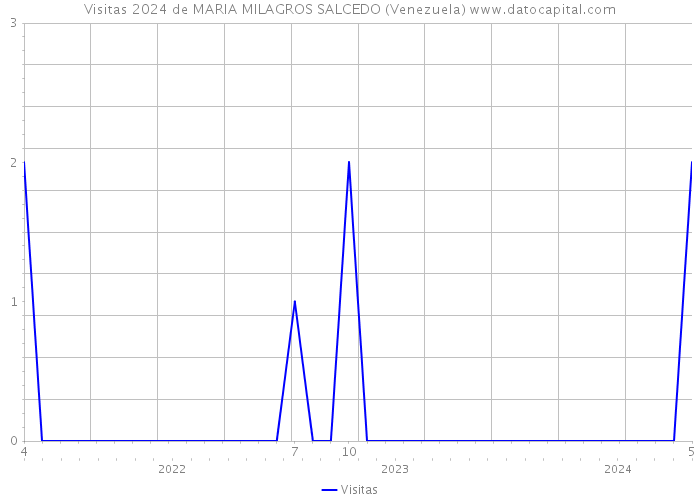Visitas 2024 de MARIA MILAGROS SALCEDO (Venezuela) 