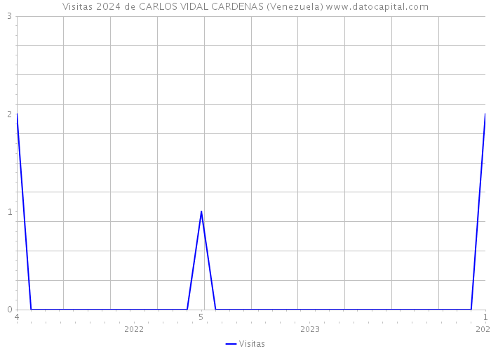 Visitas 2024 de CARLOS VIDAL CARDENAS (Venezuela) 