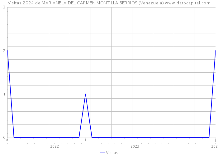 Visitas 2024 de MARIANELA DEL CARMEN MONTILLA BERRIOS (Venezuela) 