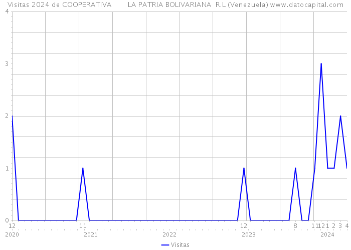 Visitas 2024 de COOPERATIVA LA PATRIA BOLIVARIANA R.L (Venezuela) 