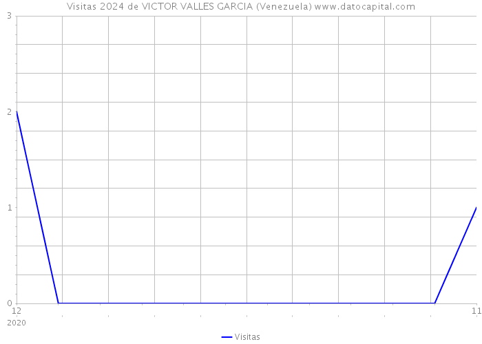 Visitas 2024 de VICTOR VALLES GARCIA (Venezuela) 