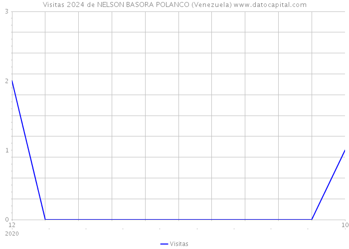Visitas 2024 de NELSON BASORA POLANCO (Venezuela) 
