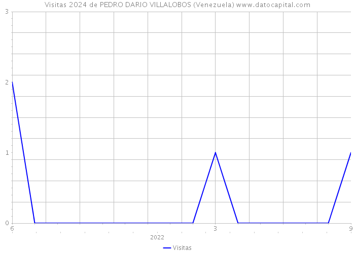 Visitas 2024 de PEDRO DARIO VILLALOBOS (Venezuela) 