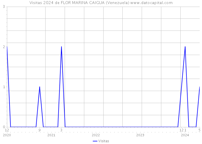 Visitas 2024 de FLOR MARINA CAIGUA (Venezuela) 