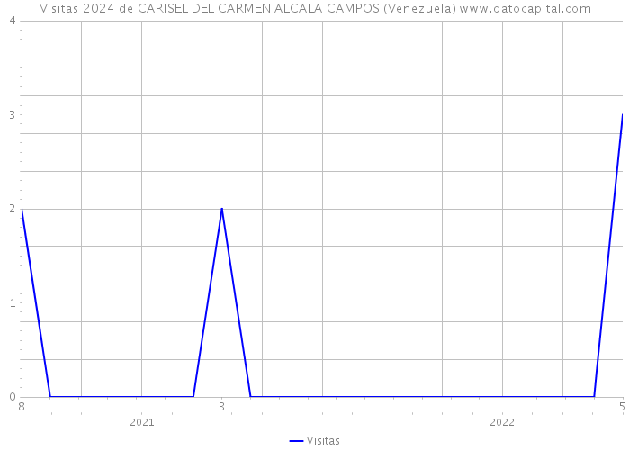 Visitas 2024 de CARISEL DEL CARMEN ALCALA CAMPOS (Venezuela) 
