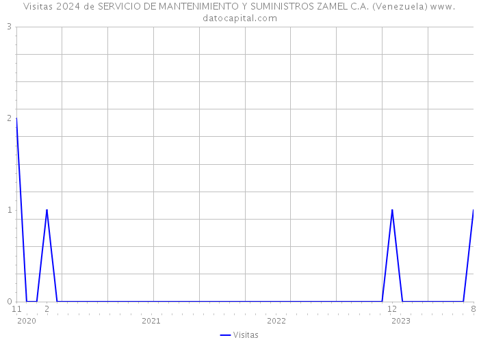 Visitas 2024 de SERVICIO DE MANTENIMIENTO Y SUMINISTROS ZAMEL C.A. (Venezuela) 