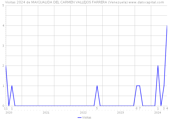 Visitas 2024 de MAIGUALIDA DEL CARMEN VALLEJOS FARRERA (Venezuela) 