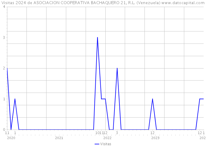 Visitas 2024 de ASOCIACION COOPERATIVA BACHAQUERO 21, R.L. (Venezuela) 