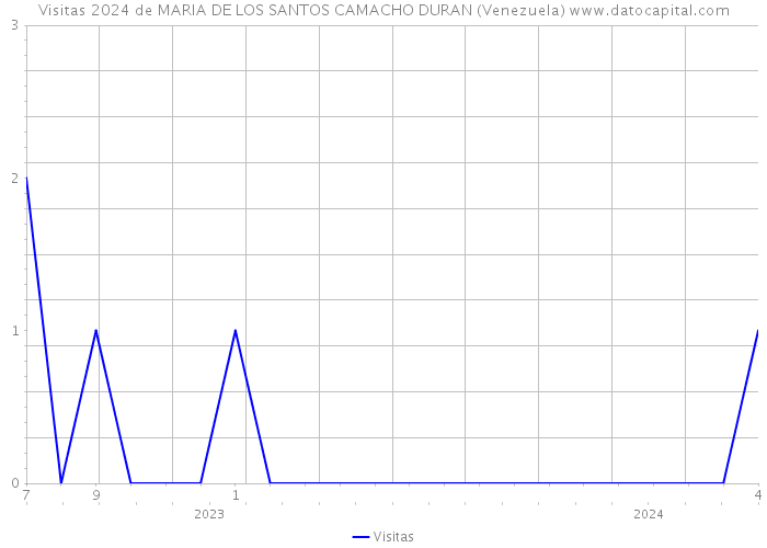 Visitas 2024 de MARIA DE LOS SANTOS CAMACHO DURAN (Venezuela) 