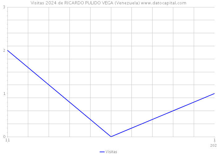 Visitas 2024 de RICARDO PULIDO VEGA (Venezuela) 