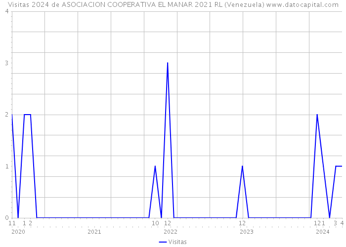 Visitas 2024 de ASOCIACION COOPERATIVA EL MANAR 2021 RL (Venezuela) 