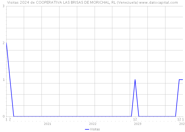 Visitas 2024 de COOPERATIVA LAS BRISAS DE MORICHAL, RL (Venezuela) 