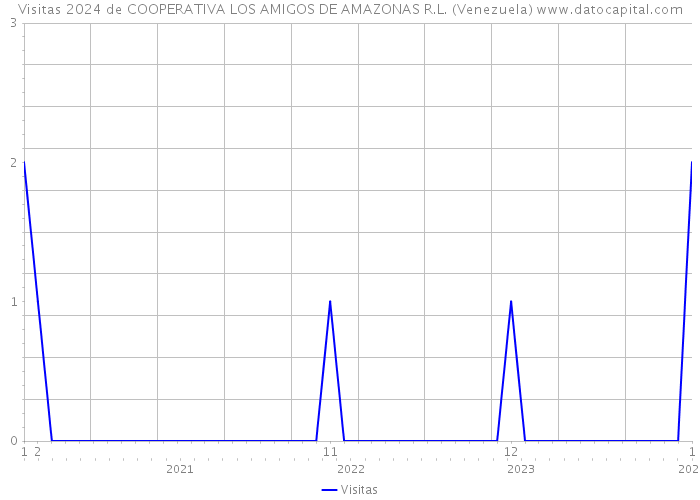 Visitas 2024 de COOPERATIVA LOS AMIGOS DE AMAZONAS R.L. (Venezuela) 
