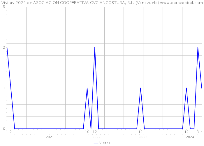 Visitas 2024 de ASOCIACION COOPERATIVA CVC ANGOSTURA, R.L. (Venezuela) 