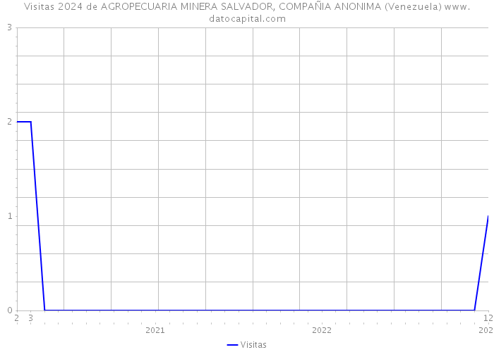 Visitas 2024 de AGROPECUARIA MINERA SALVADOR, COMPAÑIA ANONIMA (Venezuela) 