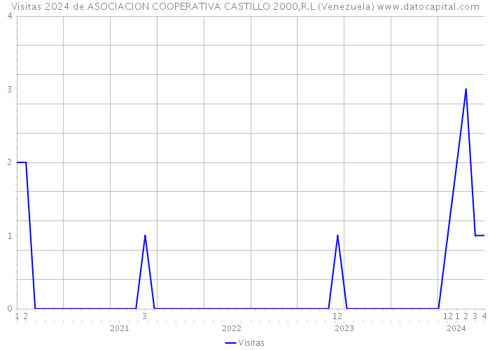 Visitas 2024 de ASOCIACION COOPERATIVA CASTILLO 2000,R.L (Venezuela) 