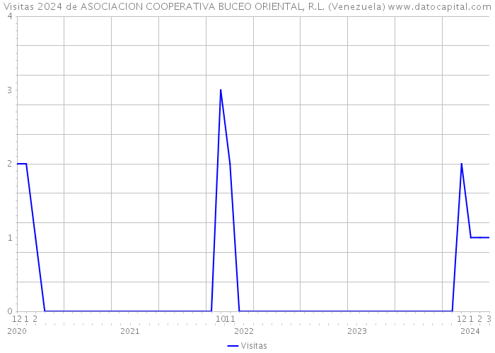 Visitas 2024 de ASOCIACION COOPERATIVA BUCEO ORIENTAL, R.L. (Venezuela) 