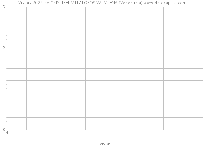 Visitas 2024 de CRISTIBEL VILLALOBOS VALVUENA (Venezuela) 
