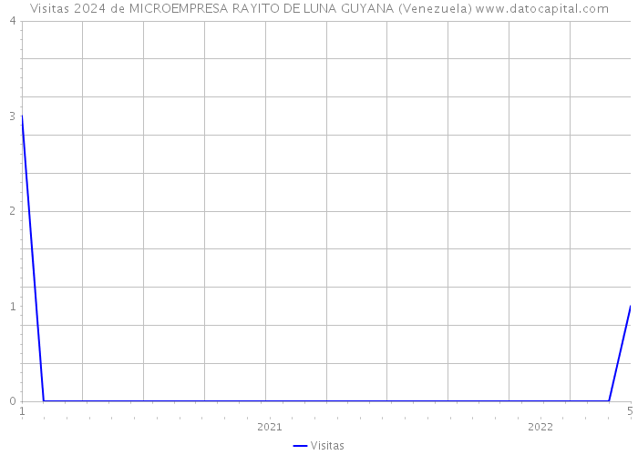 Visitas 2024 de MICROEMPRESA RAYITO DE LUNA GUYANA (Venezuela) 